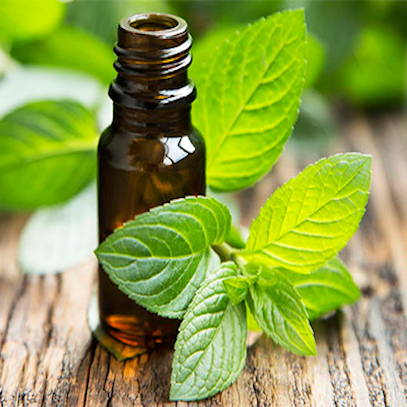 Buy 18th Street Soap Essential Oils